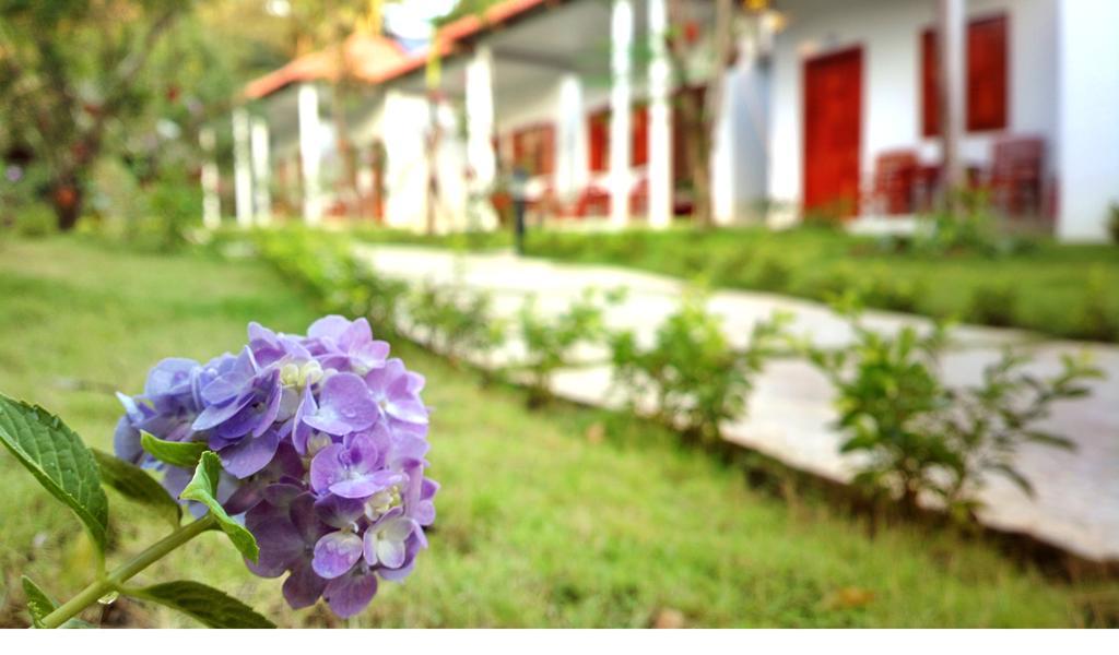 Highland Bungalow Phu Quoc Eksteriør bilde