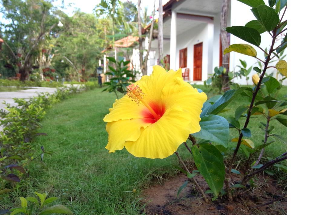 Highland Bungalow Phu Quoc Eksteriør bilde